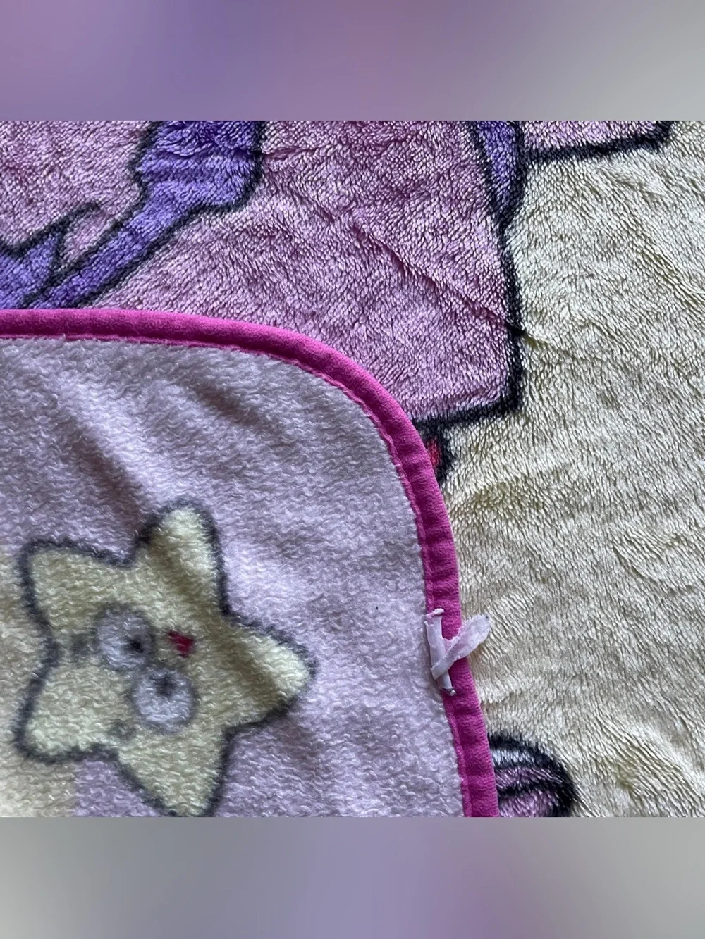 Lot 2 Dora the Explorer Fleece Blanket 